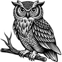 an owl sitting on a branch in a woodcut style vector