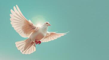 White Dove Soaring in a Blue Sky photo
