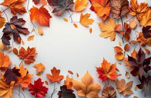 Colorful Autumn Leaves Arranged Around White Background photo