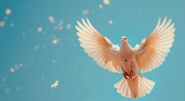 White Dove Soaring in a Blue Sky photo