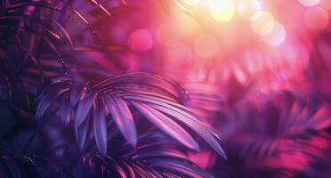 Closeup of Palm Fronds Illuminated by Sunset Light photo