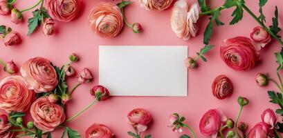 Pink Ranunculus Flowers Arranged in a Border on a Pink Background photo