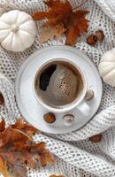 Cup of Coffee With Autumnal Decorations on a Knitted Blanket photo
