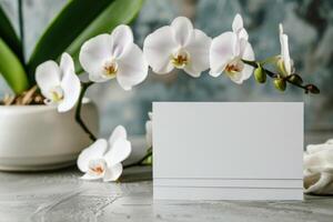 White Orchid Flowers and Blank Card on Grey Background photo
