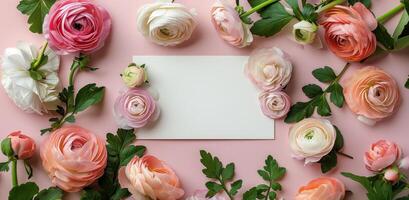 Pink Ranunculus Flowers Surrounding Blank Card on Light Pink Background photo