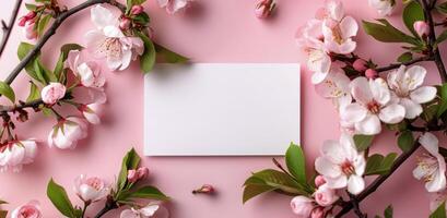 Pink Flowers and a Blank White Card on a Pink Background photo