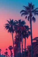 Palm Trees Silhouetted Against a Vibrant Pink Sunset Sky photo