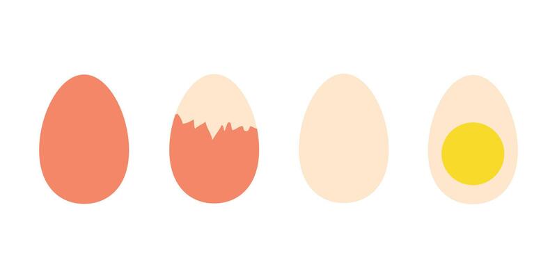 boiled eggs on white background