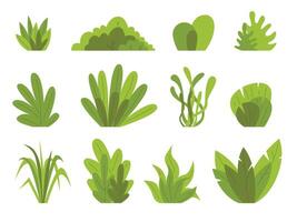 Hand drawn shrub bush shrubbery tree. set of garden plant element. Eco element vector