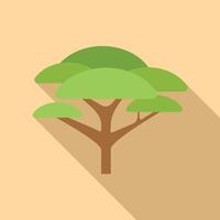 Minimalist baobab tree casting long shadow vector