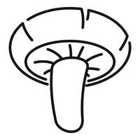Mushroom drawing showing cap and gills vector