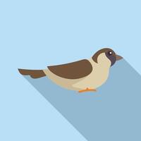 Small bird sparrow standing still looking right side view vector