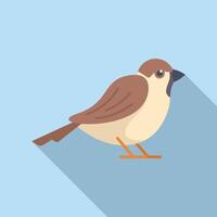 Small sparrow bird standing on ground with long shadow vector