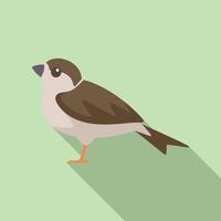 Common house sparrow bird standing with long shadow vector