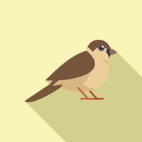 Little sparrow bird standing on ground with long shadow vector