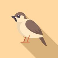 Cute sparrow bird standing with long shadow vector