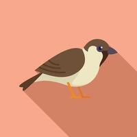 Small sparrow bird standing with long shadow vector