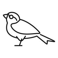 Bird standing on branch icon birdwatching minimalist line art vector
