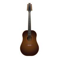 Classic twelve string guitar isolated on white vector