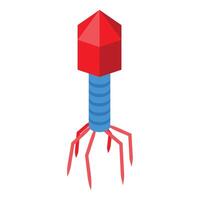 Simplified bacteriophage virus model showing components vector