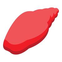 Red seashell is lying on a white background vector