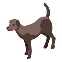 Brown dog standing with raised tail isometric icon vector