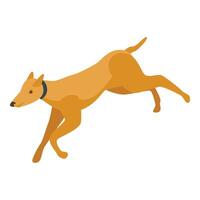 Hunting dog running isometric view vector