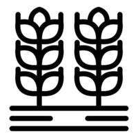 Two wheat stalks growing in field line art icon vector