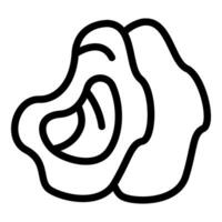 Line drawing of two open oyster shells with meat inside vector