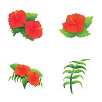 Hibiscus plant icons set cartoon . Blooming red hibiscus with green leaf vector