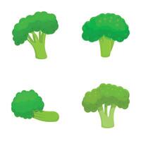 Green broccoli icons set cartoon . Organic broccoli cabbage on stalk vector
