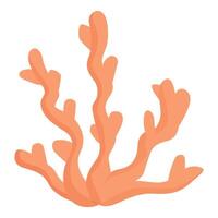 Single bush of laminaria growing underwater in warm sea vector