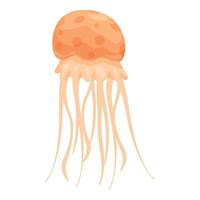 Orange jellyfish swimming with tentacles floating in water vector