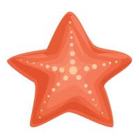 Five pointed starfish showing radial symmetry vector