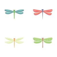Beautiful dragonfly icons set cartoon . Various colorful dragonfly vector