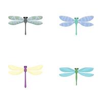 Insect dragonfly icons set cartoon . Various colorful dragonfly vector