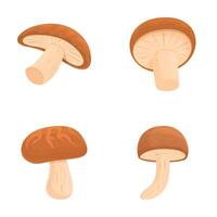 Shiitake mushroom icons set cartoon . Asian shiitake mushroom or fungi vector