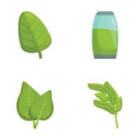 Basil drink icons set cartoon . Basil stem with green leaf vector