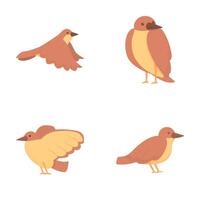 Sparrow icons set cartoon . Cute cheerful brown sparrow vector