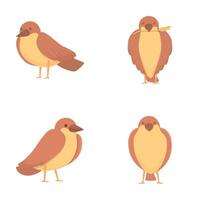 Brown sparrow icons set cartoon . Cute cheerful sparrow vector