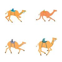 Set of cartoon camels in various poses vector