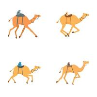 Set of cartoon camels in various poses vector