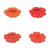 Set of colorful rafflesia flowers isolated on white vector