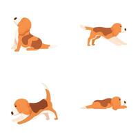 Set of beagle dog poses vector