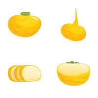 Cartoon vegetable collection, yellow squash and onion vector