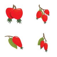 Set of various cartoon red rosehips vector