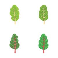 Set of cartoon spinach leaves illustrations vector