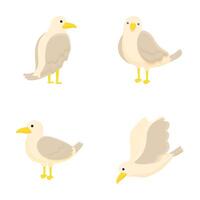 Cartoon seagull set in various poses vector