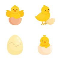 Set of four adorable cartoon chicks and eggs in various stages of hatching vector