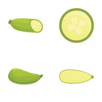 Set of zucchini illustrations in various views vector